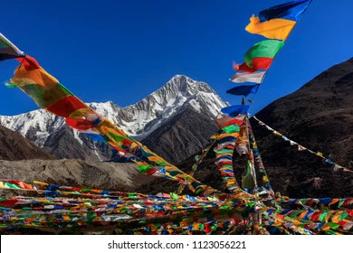 Tibetan Prayer Flag 14" - X Large